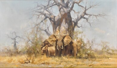 View full screen - View 1 of Lot 117. Elephants and a Baobab Tree, Africa.