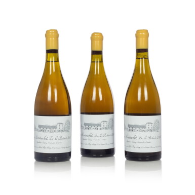 View full screen - View 1 of Lot 7376. Puligny Montrachet, En La Richarde 2007 Domaine d'Auvenay (3 BT).