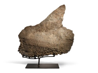 View full screen - View 1 of Lot 9. Stegosaurus Dorsal Plate.