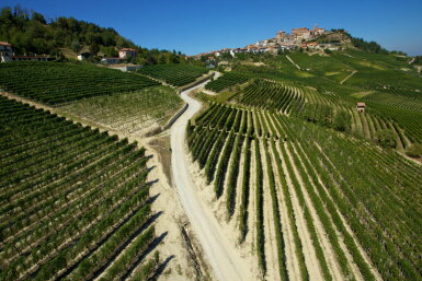 View full screen - View 1 of Lot 376. Barolo Brunate 2016 Roberto Voerzio (3 BT).