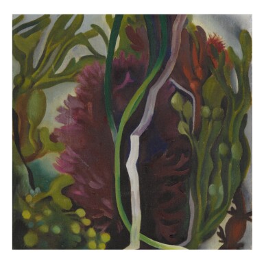 View full screen - View 1 of Lot 25. GEORGIA O'KEEFFE | SEAWEED.