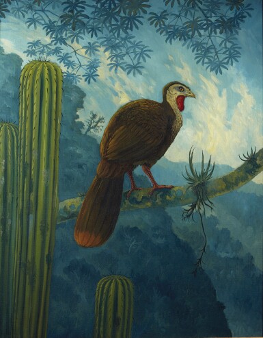 View full screen - View 1 of Lot 352. Hughes. Bearded Guan (Penelope barbata) 1999, oil on canvas.