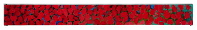 View full screen - View of Red Mums Display.