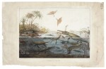 DE LA BECHE | Duria Antiquior, hand-coloured lithograph, 1830