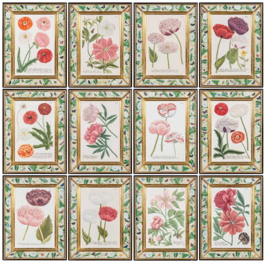 View full screen - View 1 of Lot 720. A set of twelve German hand-coloured floral engravings, mid-18th century.
