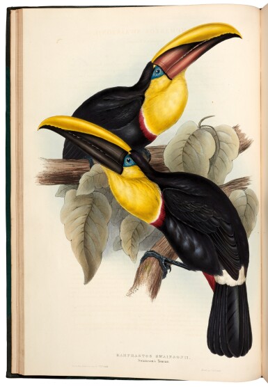 View full screen - View 1 of Lot 15. John Gould | Monograph of the Ramphastidae, or family of Toucans. London, 1834.