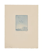 OISEAU PAR DESSUS LE TOÎT DANS LE CIEL BLEU