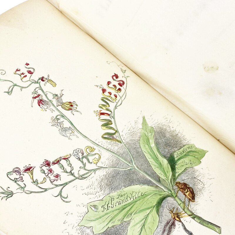 Cover image 0