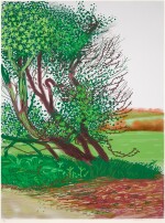 The Arrival of Spring in Woldgate, East Yorkshire in 2011 (twenty eleven) - 12 April No. 1