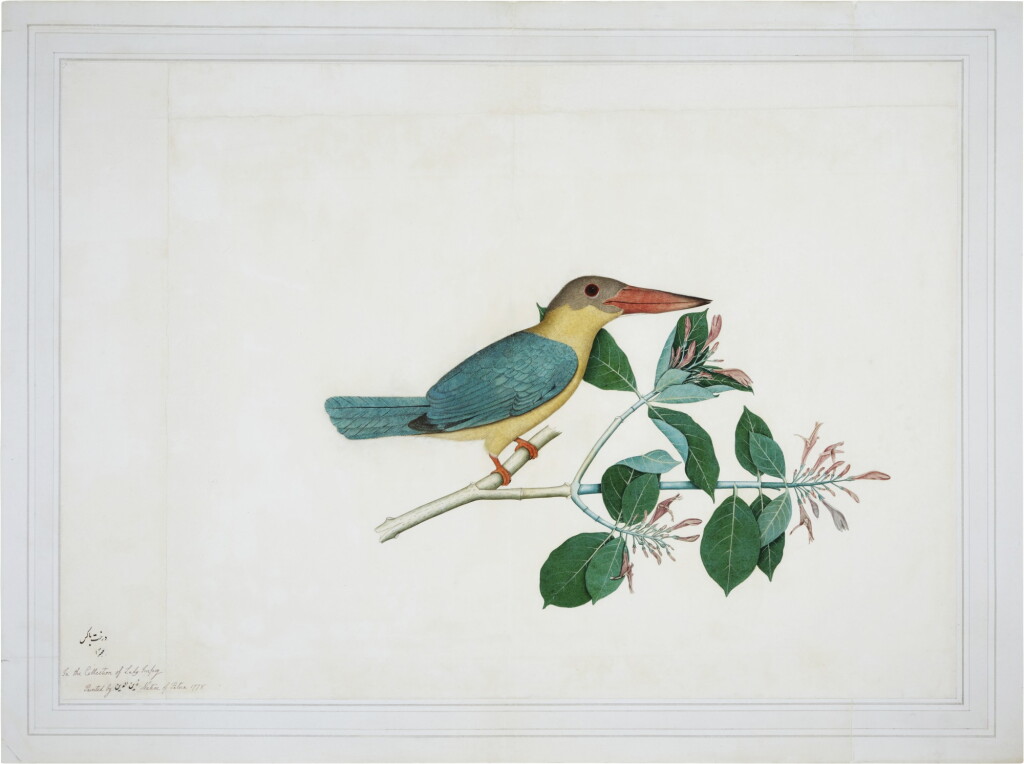 View full screen - View 1 of Lot 163. A stork-billed kingfisher (Halcyon Capensis) on a flowering branch, from the Impey Album, signed by Shaykh Zayn al-Din, India, Company School, Calcutta, dated 1778.