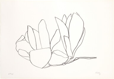 View full screen - View 1 of Lot 777. Magnolia, from Suite of Plant Lithographs (Axsom 56).
