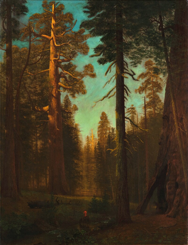 Cover image 0