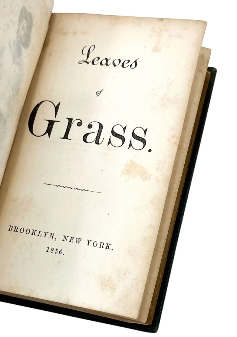 Cover image 0