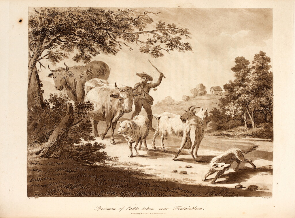 View full screen - View 1 of Lot 96. Thomas Thornton | A sporting tour through various parts of France in the year 1802, London, 1806, half calf.