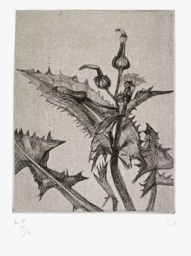 View full screen - View 1 of Lot 129. LUCIAN FREUD | THISTLE (H. 23).