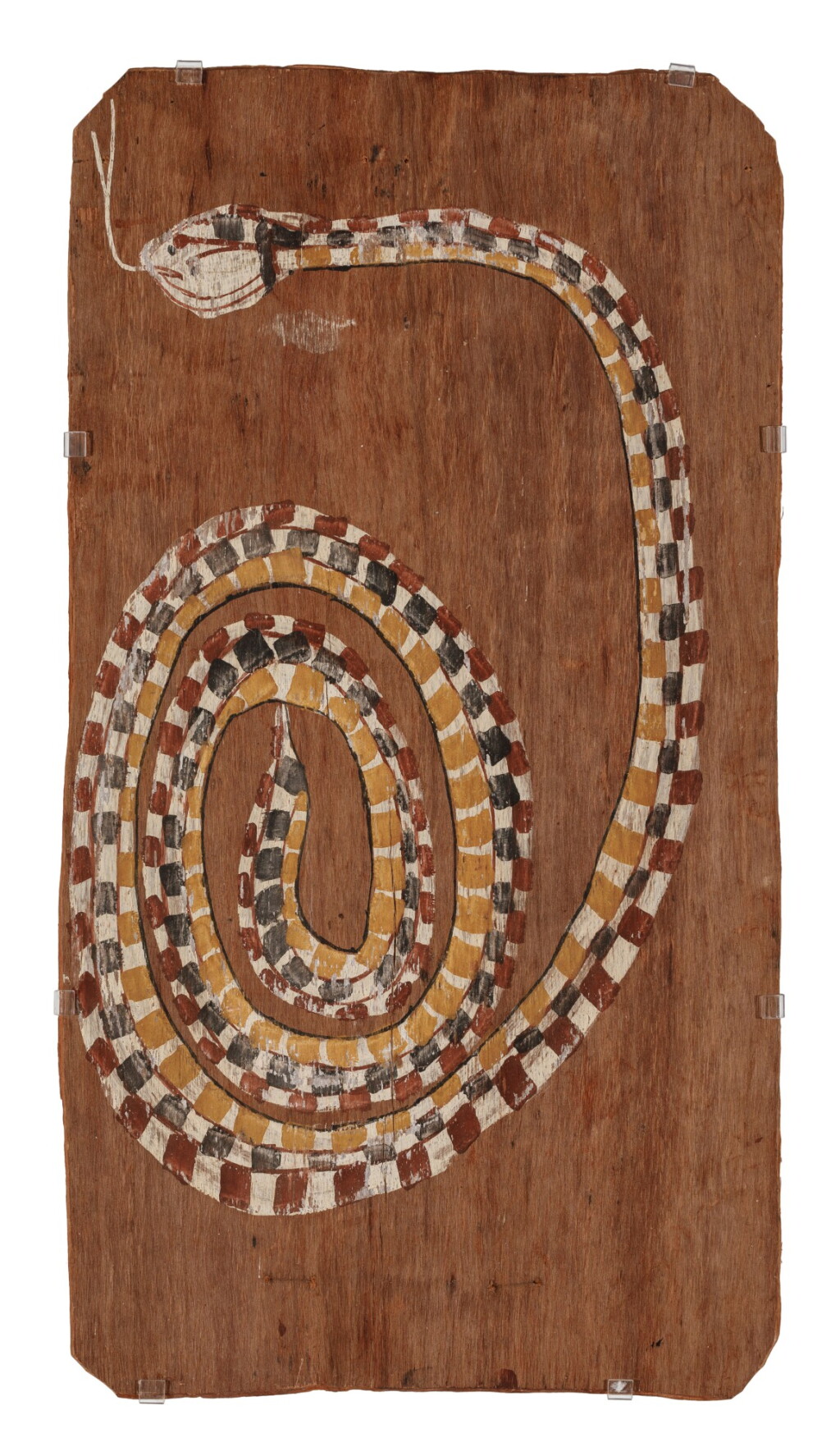 View full screen - View 1 of Lot 29. Nawarran, (The Rock Python), circa 1959.