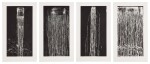 Long Vertical Falls #1, #2, #3 and #4