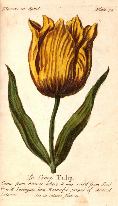 View full screen - View 1 of Lot 315. J. Duke | The compleat florist, 1740, 2 volumes.