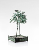 Eucalyptus