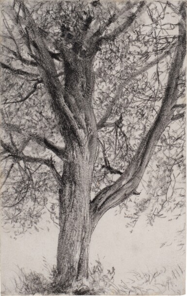 View full screen - View 1 of Lot 177. Study of a Tree.