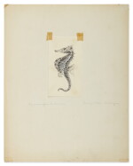 HIPPOCAMPUS HUDSONIUS (NORTHERN SEAHORSE)