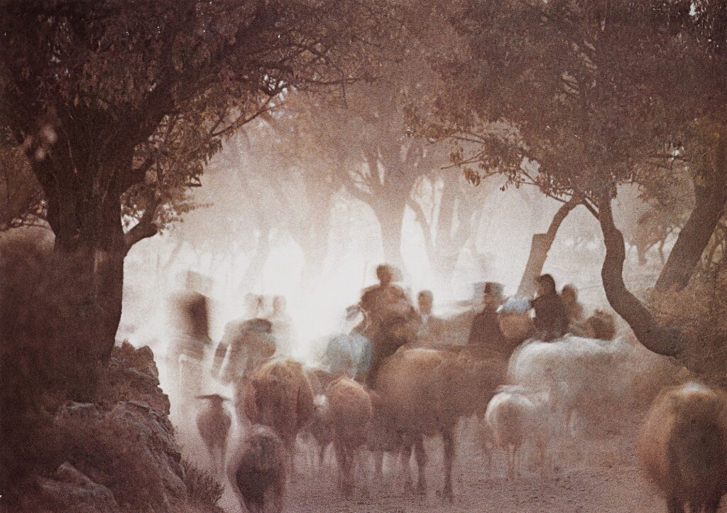 View full screen - View 1 of Lot 26. Cretan Landscape.