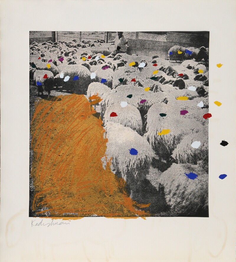 Cover image 0