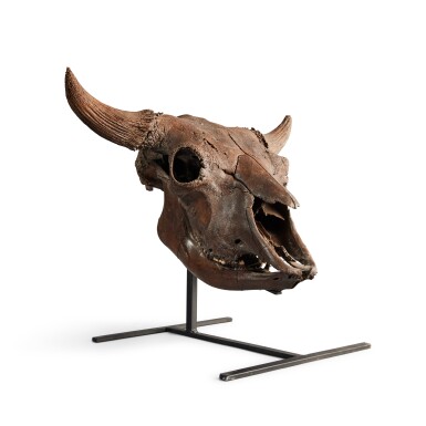 View full screen - View 1 of Lot 13. The Complete Fossilized Skull of an Ancient Bison.