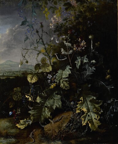 View full screen - View 1 of Lot 205. MATTHIAS WITHOOS | FOREST FLOOR STILL LIFE WITH VARIOUS FLOWERS, BUTTERFLIES, AND LIZARDS, ALL BEFORE A LANDSCAPE.