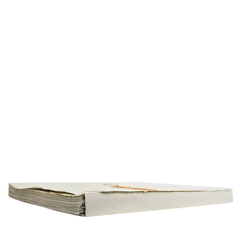 Cover image 0