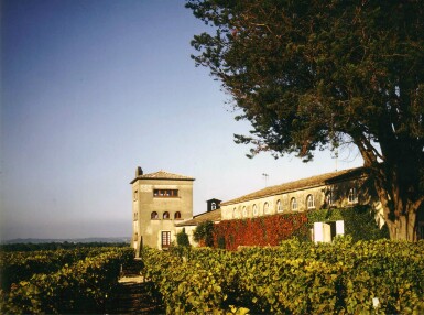 View full screen - View 1 of Lot 110. Château Rieussec 2010 (12 BT).