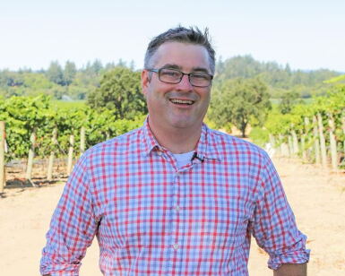 View full screen - View 1 of Lot 51. Buena Vista Winery, Vinicultural Society, Cabernet Sauvignon, St. Helena 2023 (120 BT) .