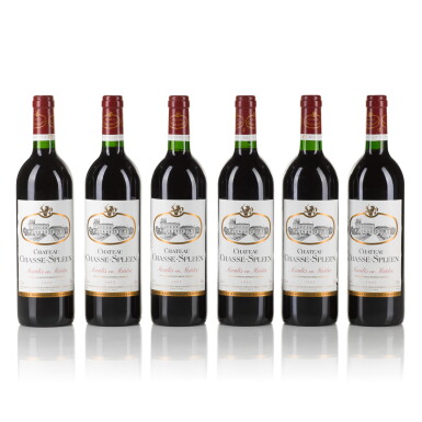 View full screen - View 1 of Lot 377. Château Chasse Spleen 1995 (12 BT).