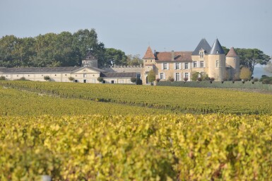 View full screen - View 1 of Lot 110. Château d'Yquem 1981 (12 BT).