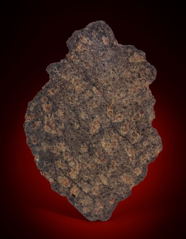 View full screen - View 1 of Lot 130. Complete Slice Of Rock From Mars — NWA 7397.