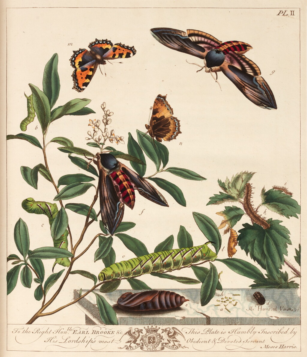 View full screen - View 1 of Lot 102. Moses Harris | L'Aurelien, London, 1794, red morocco gilt by Staggemeier, coloured plates.