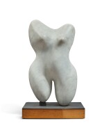 Torso