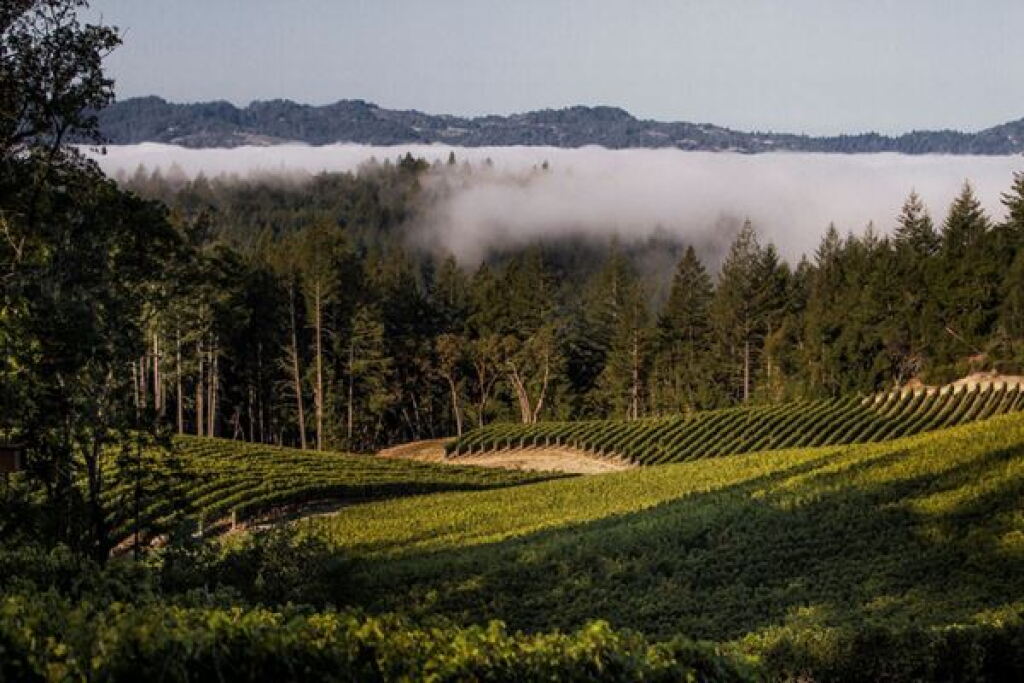 View full screen - View 1 of Lot 218. Aloft Wine, Cabernet Sauvignon, Howell Mountain, Napa Valley 2008 (12 BT).