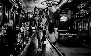 View full screen - View 1 of Lot 1049. Wolf of Main Street II.