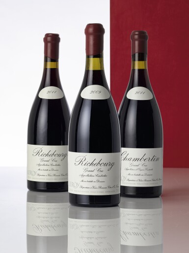 View full screen - View 1 of Lot 3260. Richebourg 2009 Domaine Leroy (12 BT).