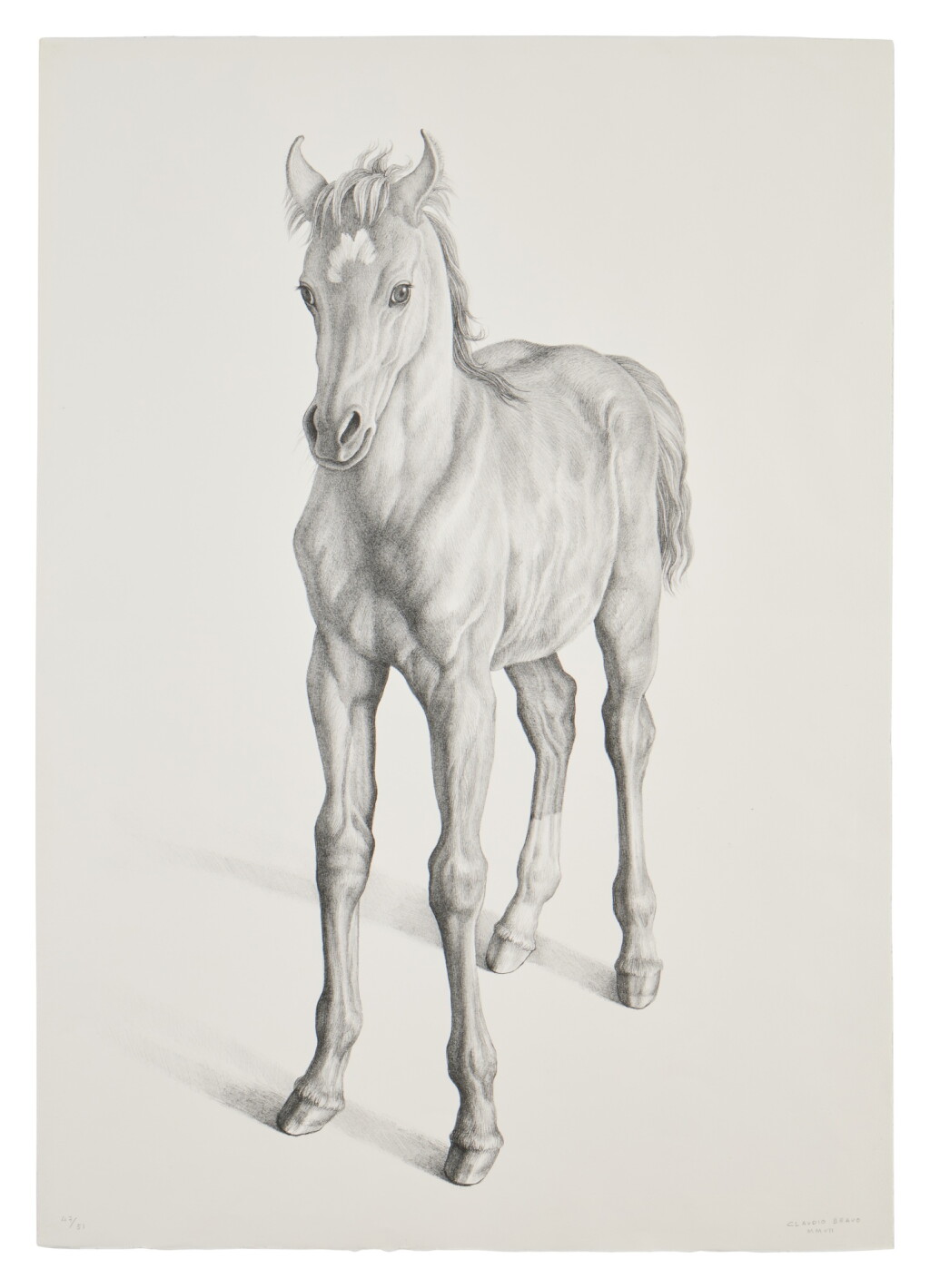 View full screen - View 1 of Lot 848. Caballo.