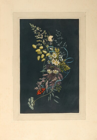 View full screen - View 1 of Lot 340. Mary Gartside | Ornamental groups, descriptive of flowers, birds, shells, fruit, insects, &c., London, 1808.