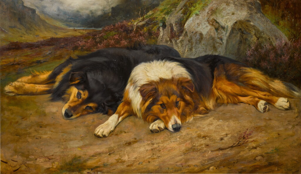 View full screen - View 1 of Lot 193. Highland Collies.