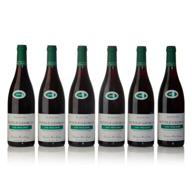 View full screen - View 1 of Lot 183. Nuits St. Georges, Les Pruliers 2005 Henri Gouges (12 BT).
