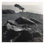 At Timber Cove, North Coast, California