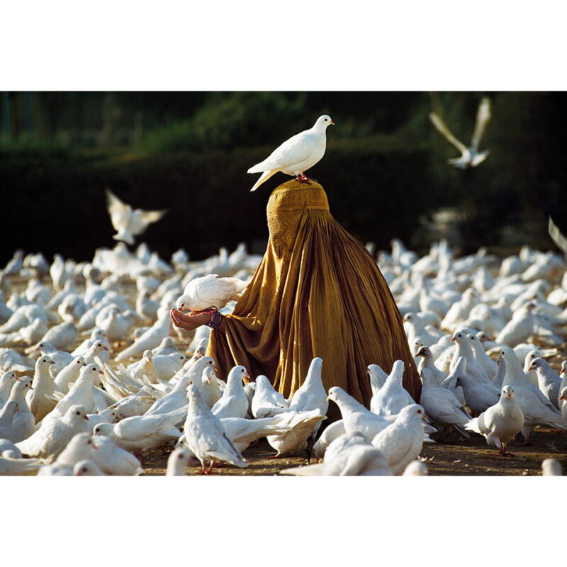 Cover image 0