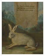 GERMAN SCHOOL, 18TH CENTURY | A HARE