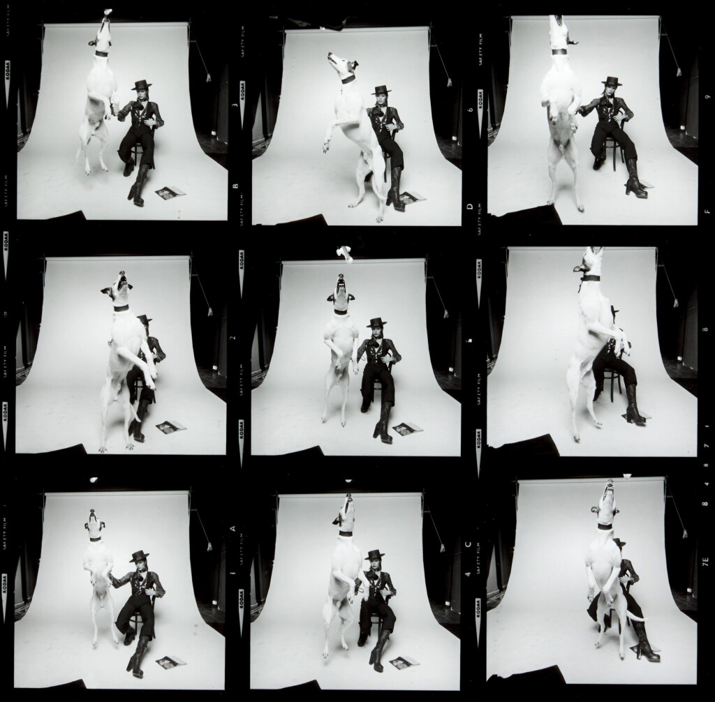 全萤幕检视 - 查看214TERRY O'NEILL | DAVID BOWIE, DIAMOND DOGS, CONTACT SHEET, 1974的1