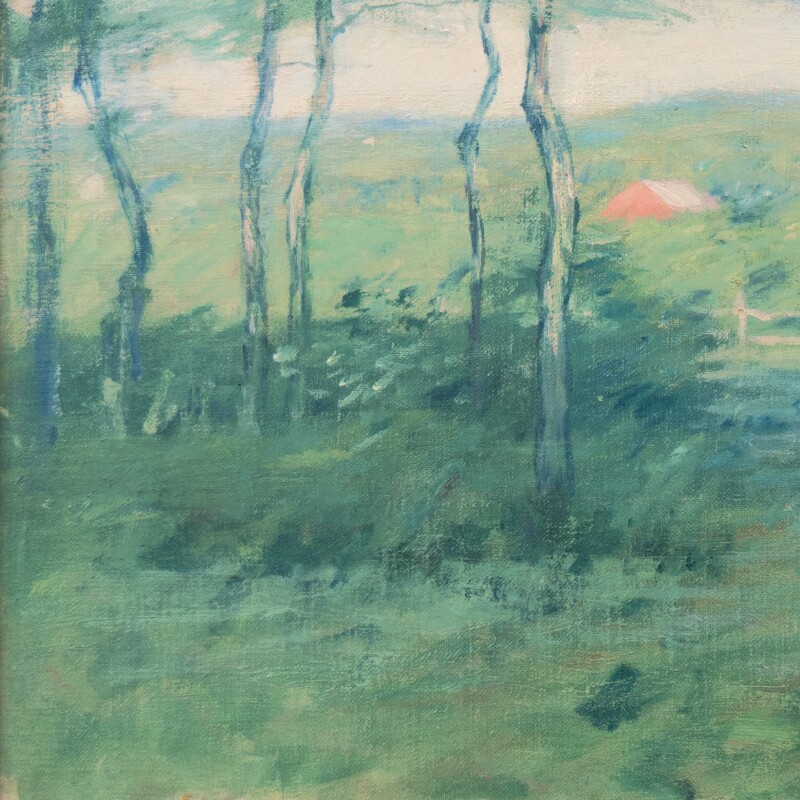 Cover image 0