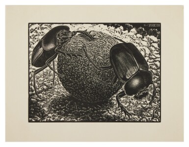 View full screen - View 1 of Lot 42. Scarabs, from De Graphicus M. C. Escher.